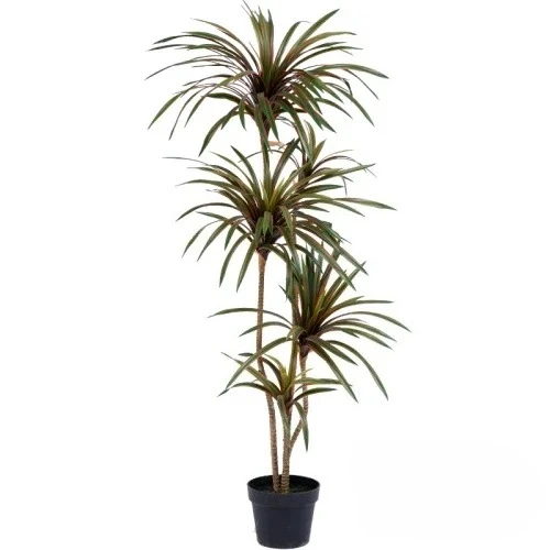 Simulation Colorful Ponytail I - Dracaena Marginata review and price