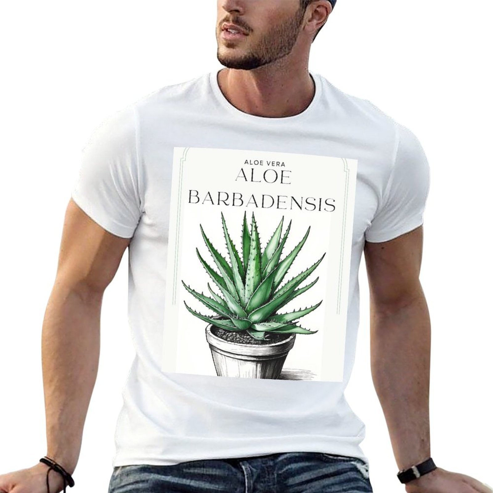 Botanical Aloe Vera in pot rus - Aloe Vera Pot review and price