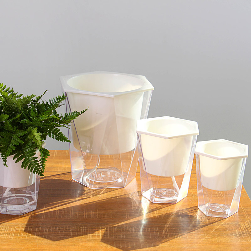 Flower Plant Pot Self Watering - Aloe Vera Pot review and price