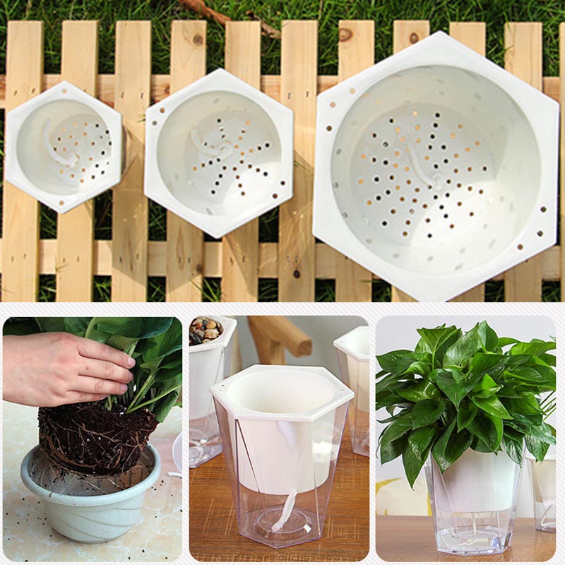 Flower Plant Pot Self Watering - Aloe Vera Pot review and price