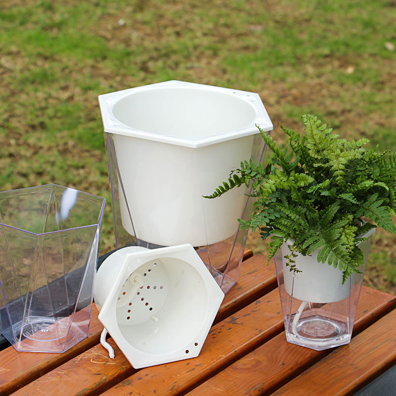 Flower Plant Pot Self Watering - Aloe Vera Pot review and price