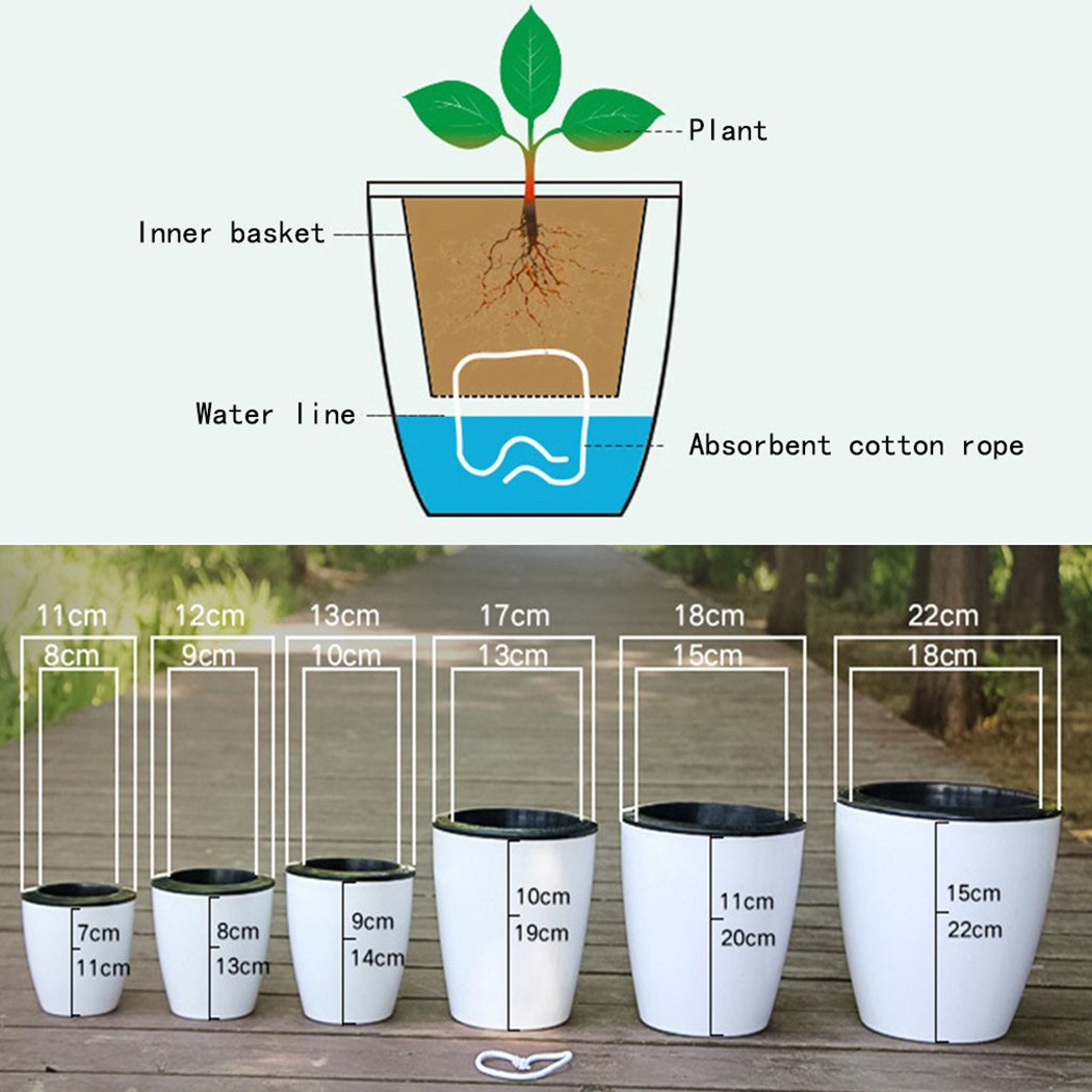 Automatic Watering Flower Plan - Aloe Vera Pot review and price
