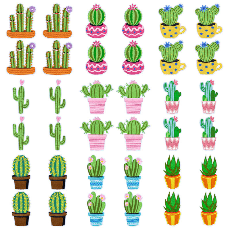 10Pcs/Lot Western Desert Iron  - Aloe Vera Pot review and price