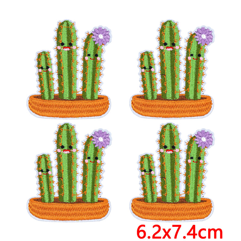 10Pcs/Lot Western Desert Iron  - Aloe Vera Pot review and price