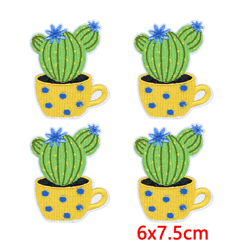 10Pcs/Lot Western Desert Iron  - Aloe Vera Pot review and price
