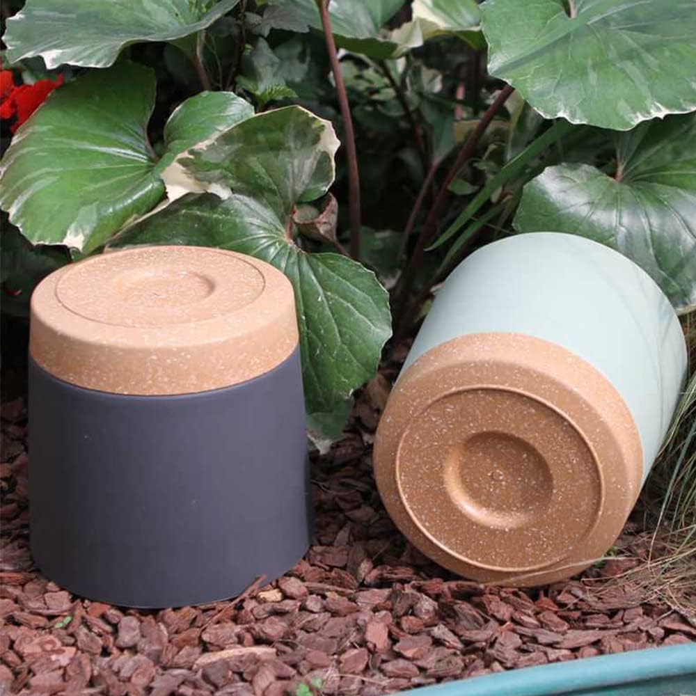 Plant POTS, lightweight Large  - Aloe Vera Pot review and price