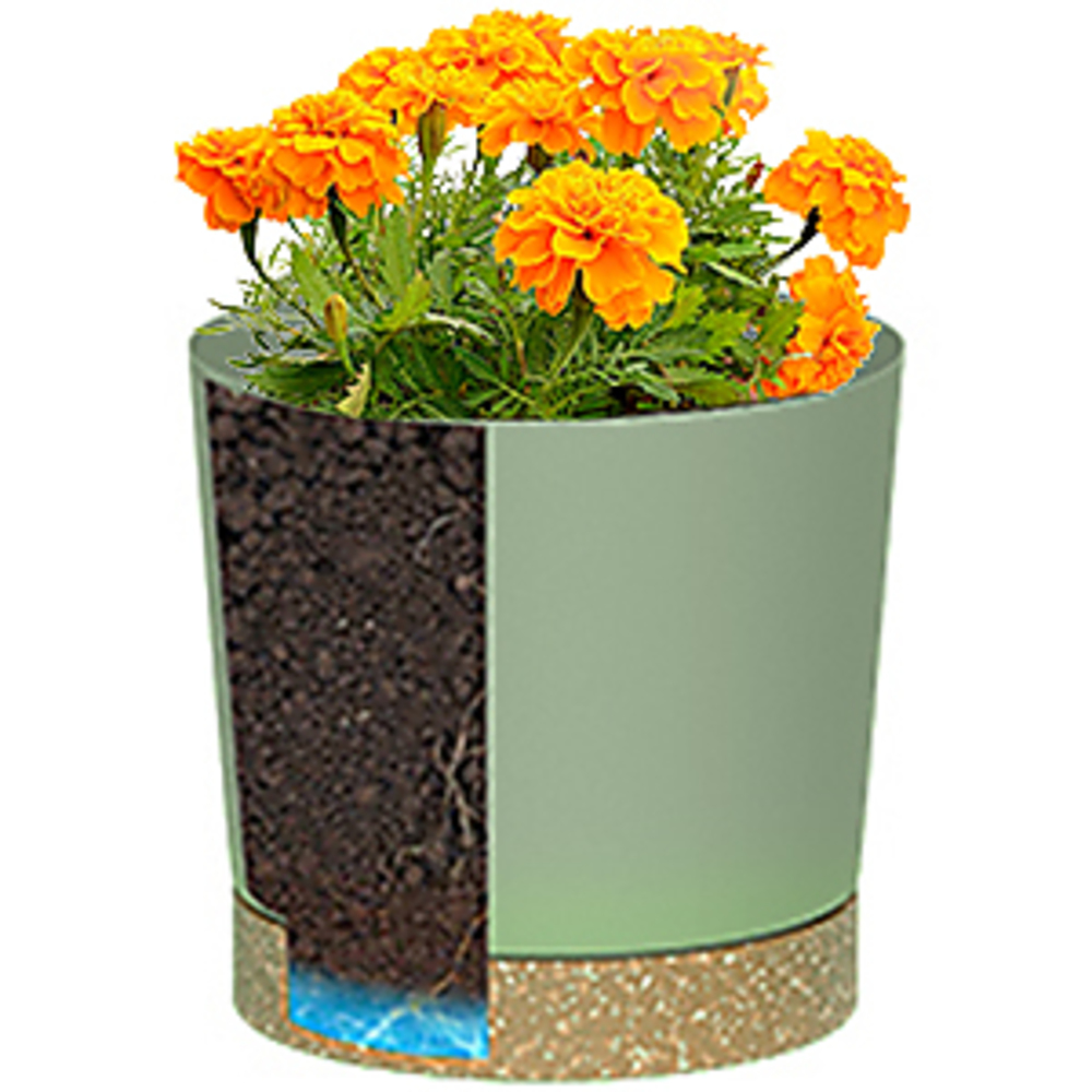 Plant POTS, lightweight Large  - Aloe Vera Pot review and price
